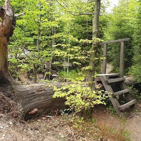 Mohnwiese Und Blumenwiese Apartamento *