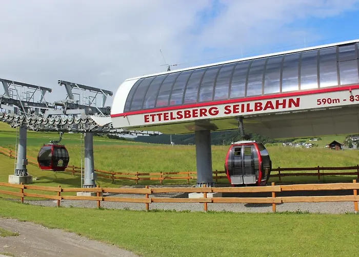 Mohnwiese Und Blumenwiese