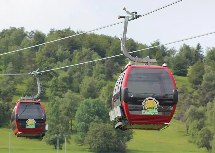 Daire Mohnwiese Und Blumenwiese Willingen (Upland)